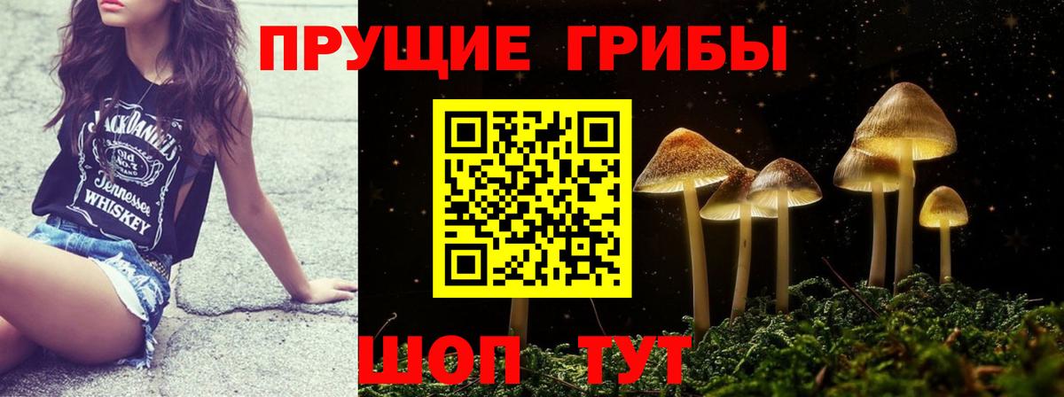 Галлюциногенные грибы Psilocybe  Вход с VPN  Солнечногорск 
